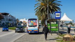 Public transport in the Algarve: this is how it works